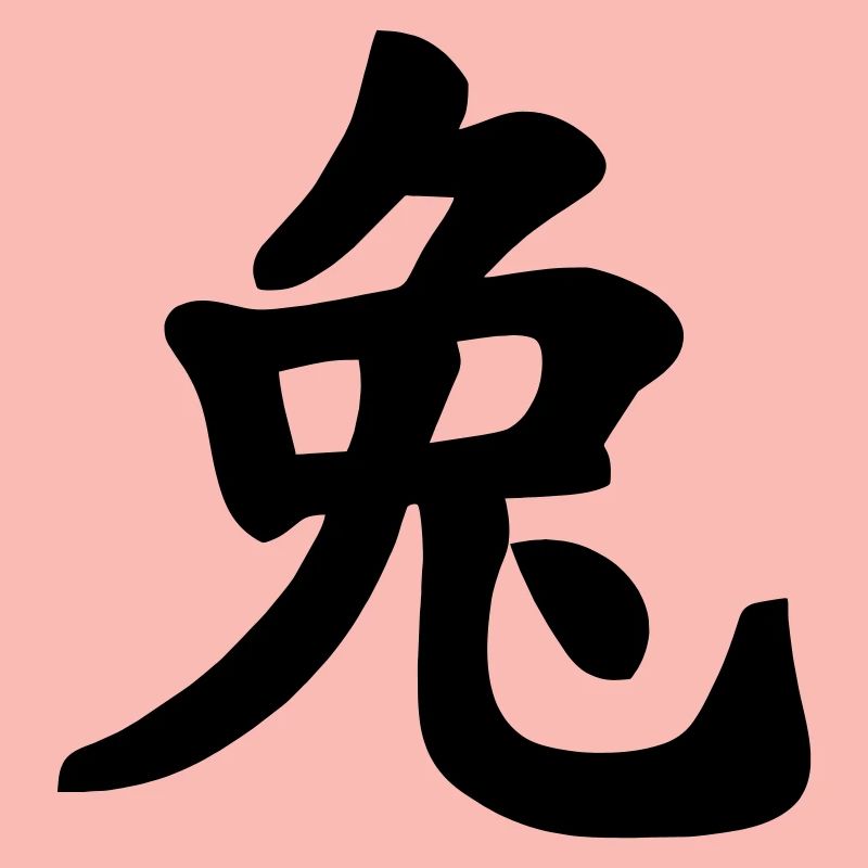 Chinese notebook rabbit shadow image