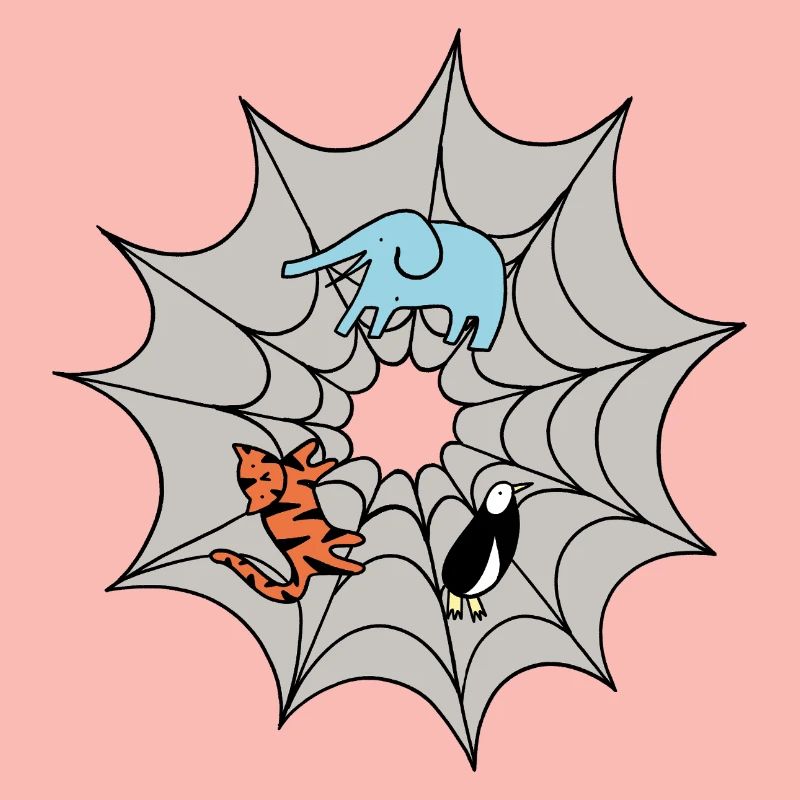Spinnennetz 