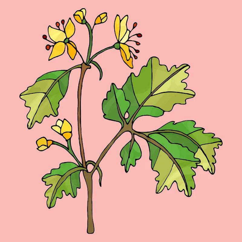 Fleur