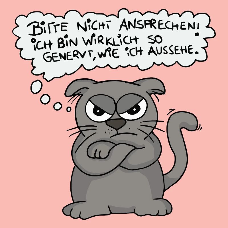 Genervte Katze - Nicht ansprechen!