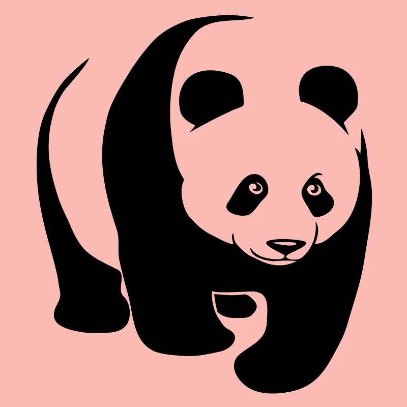 panda bär bear