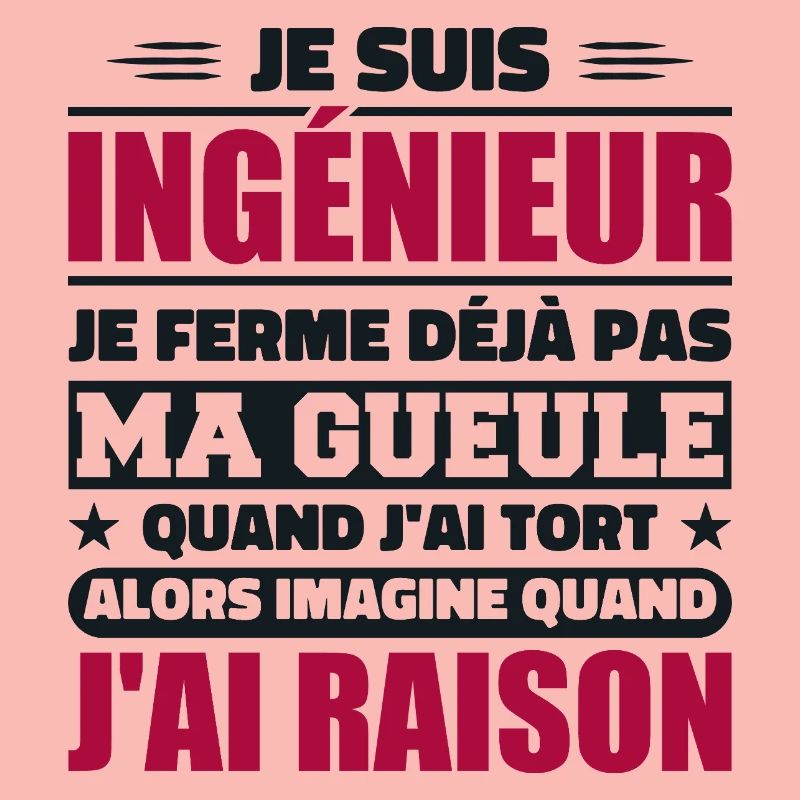 Engineer Humor Gift Student Engineer