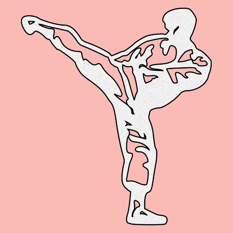 karate silber