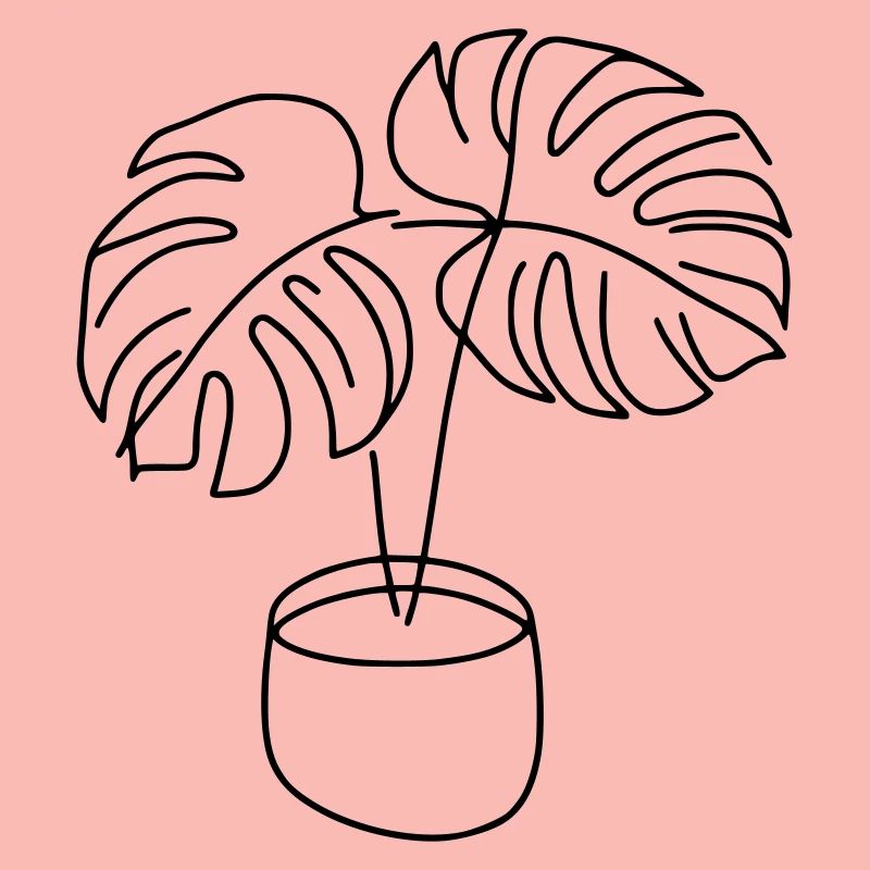 Monstera