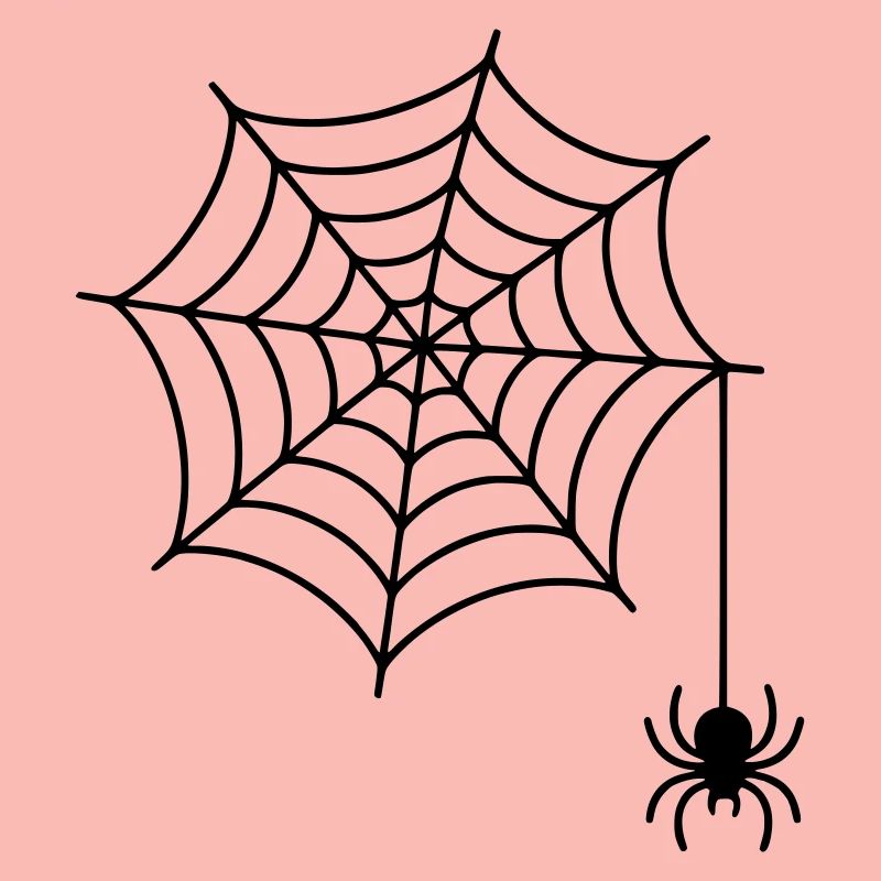 Spider web with spider silhouette