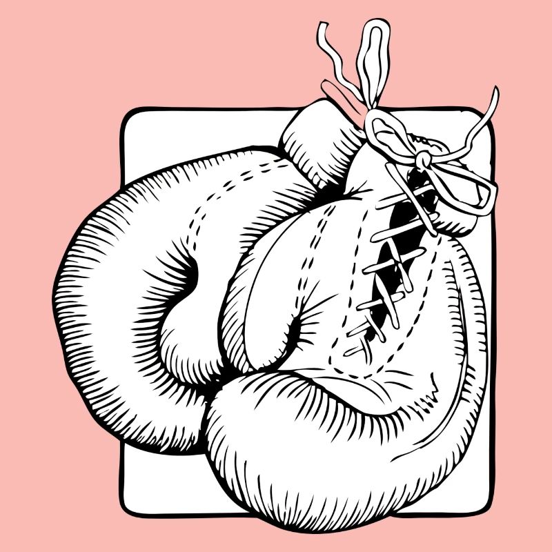 Boxhandschuhe