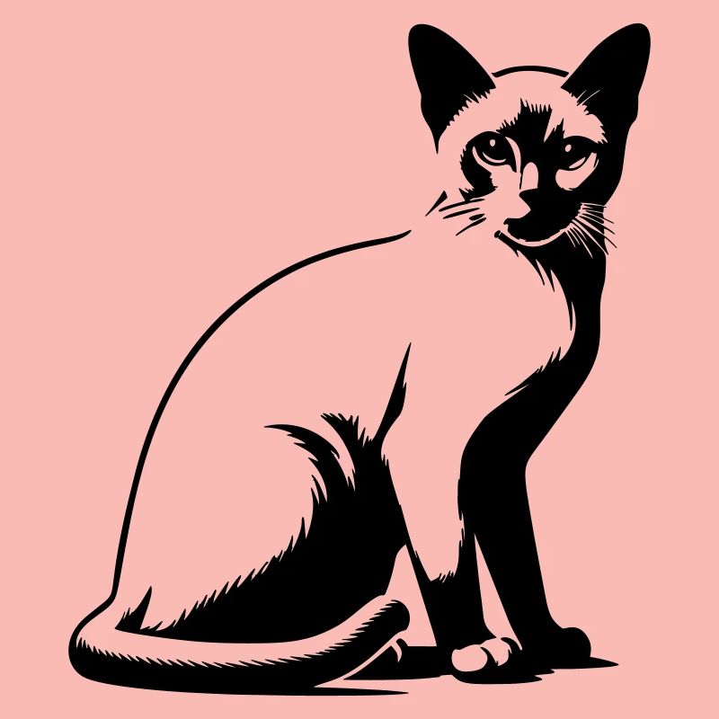 Chat birman