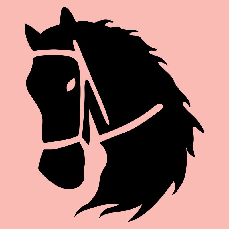 équitation