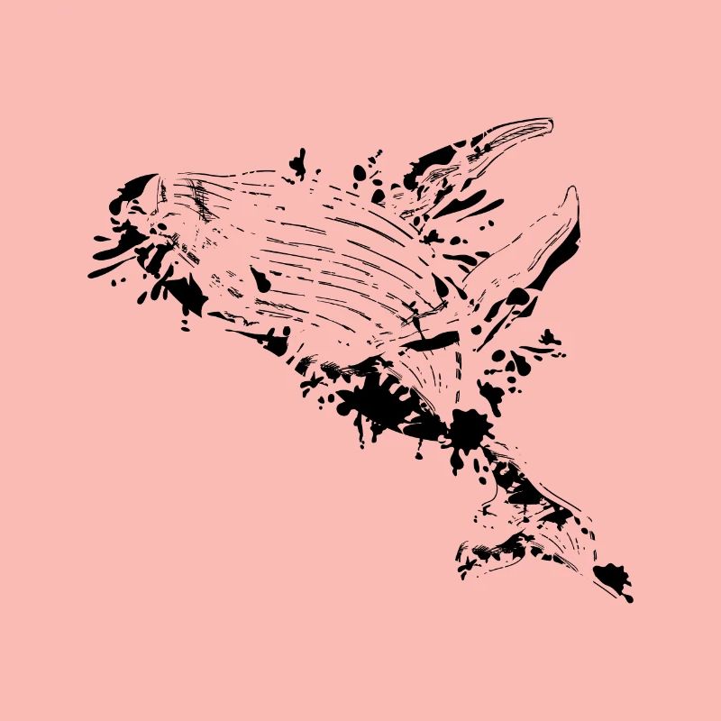 Humpback whale cool