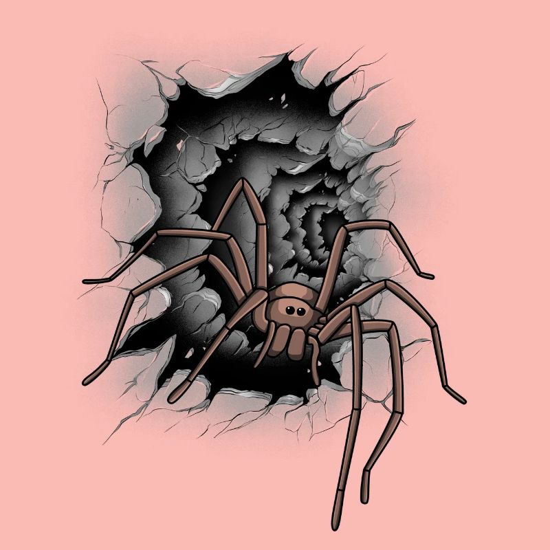 Halloween Spider Spider Phobia Panic