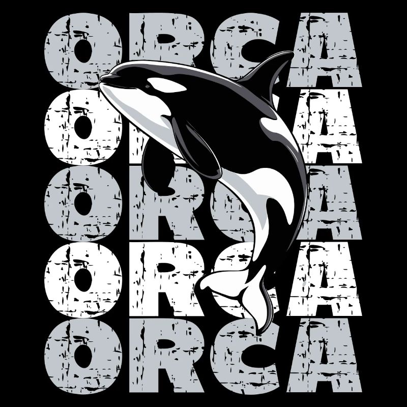  Orca Killerwal Ocean Meer Meeresleben Orca
