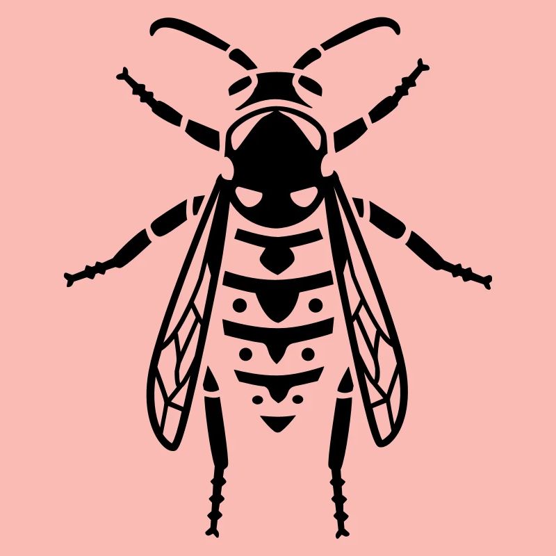 Insectes - Wasp