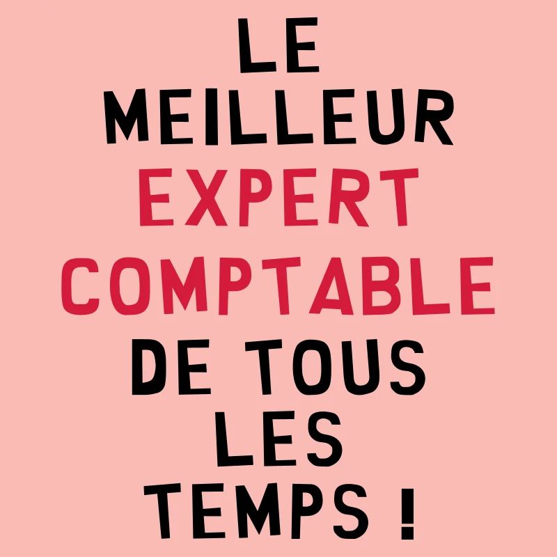 Expert Comptable / Comptabilité / Comptable /