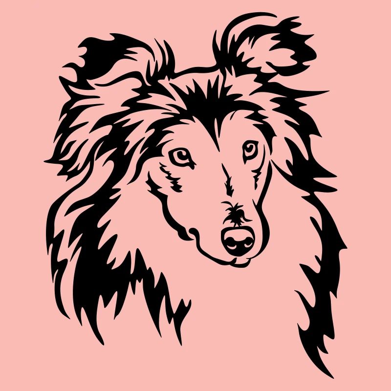 Sheltie Kopf