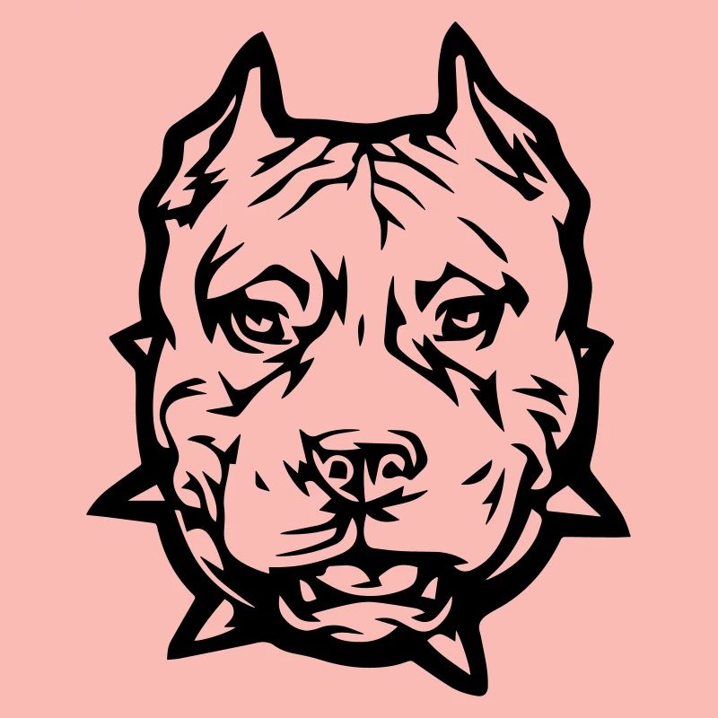 pitbull_1
