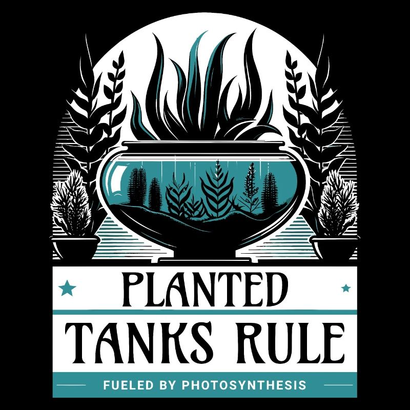 Règle des réservoirs plantés, conception d’aquarium cool