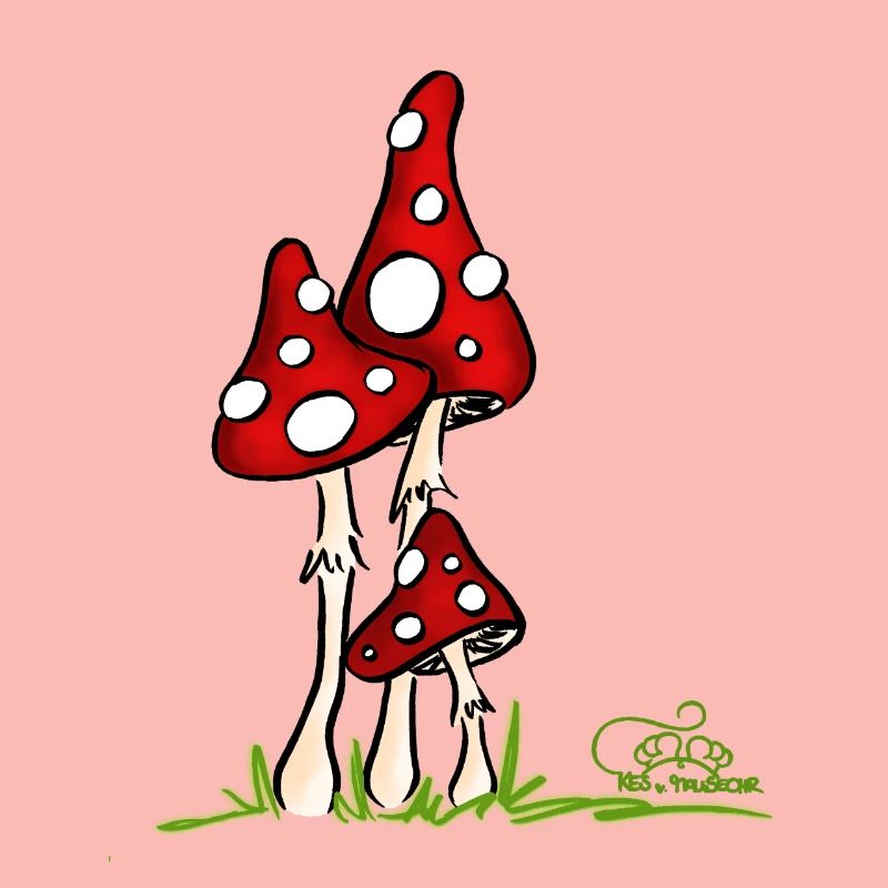 Muchotravky - Toadstools
