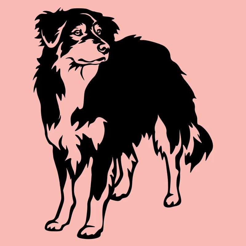 Australian Shepherd
