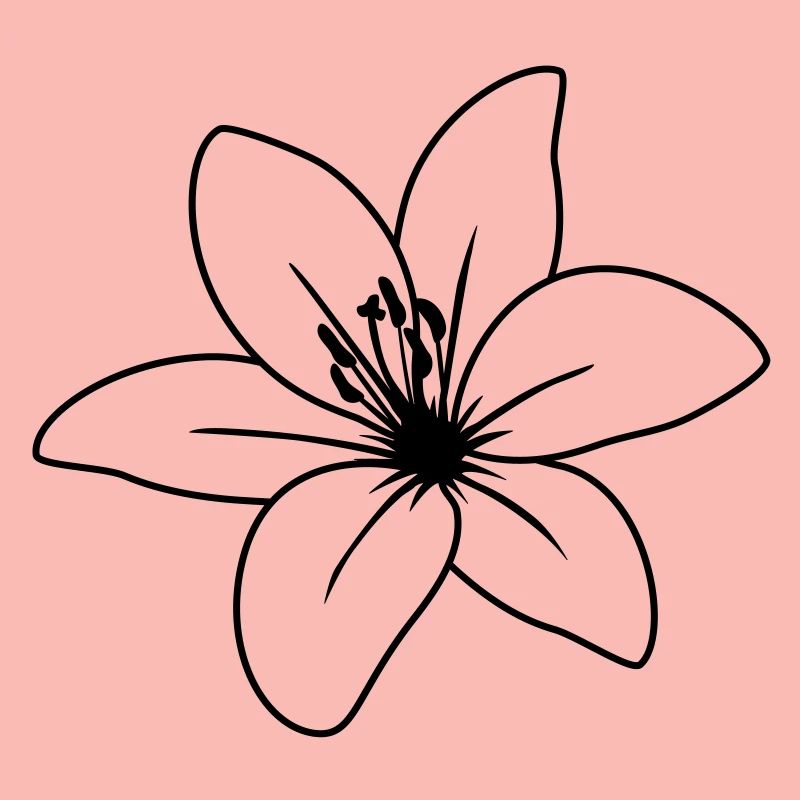 blume2_lilie_uea_1fb