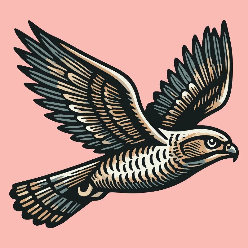 Hawk