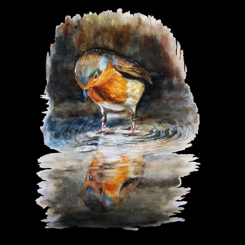 rouge-gorge