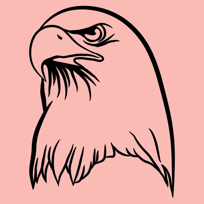 Eagle freedom