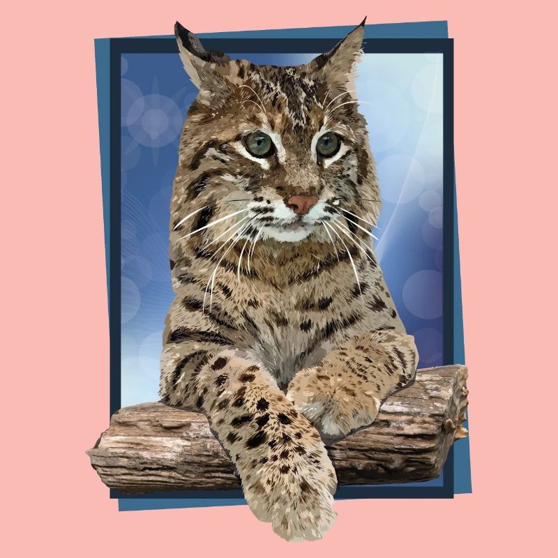 Luchs