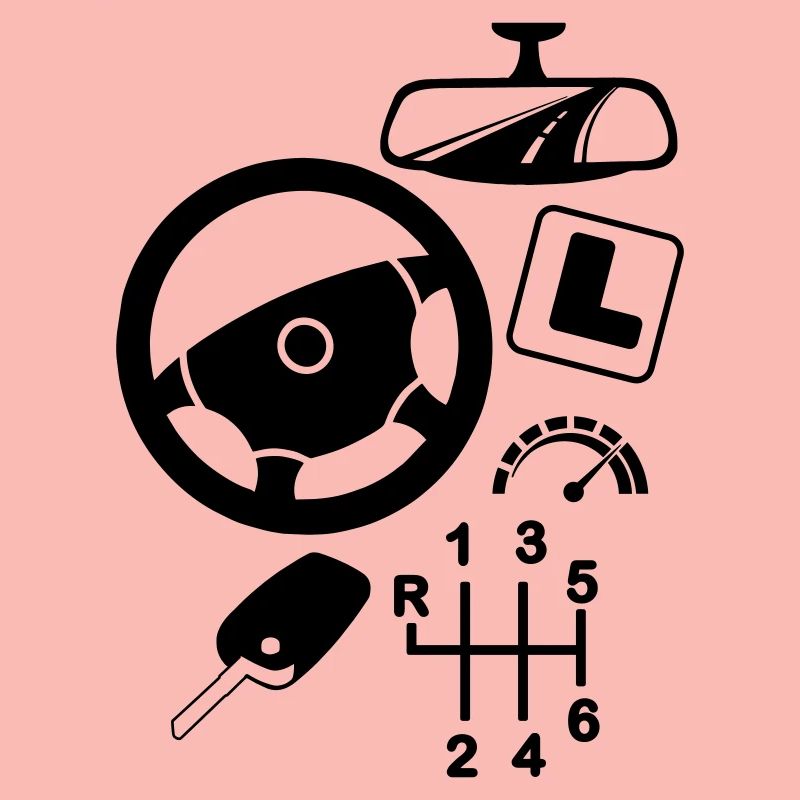 logo Car driving instructor