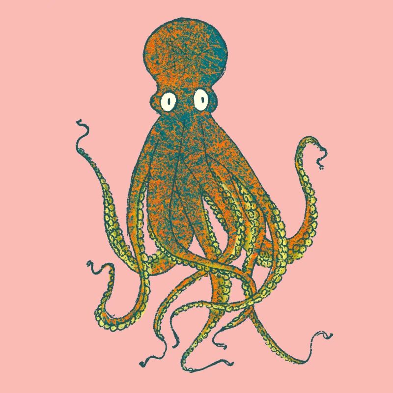 Octopus