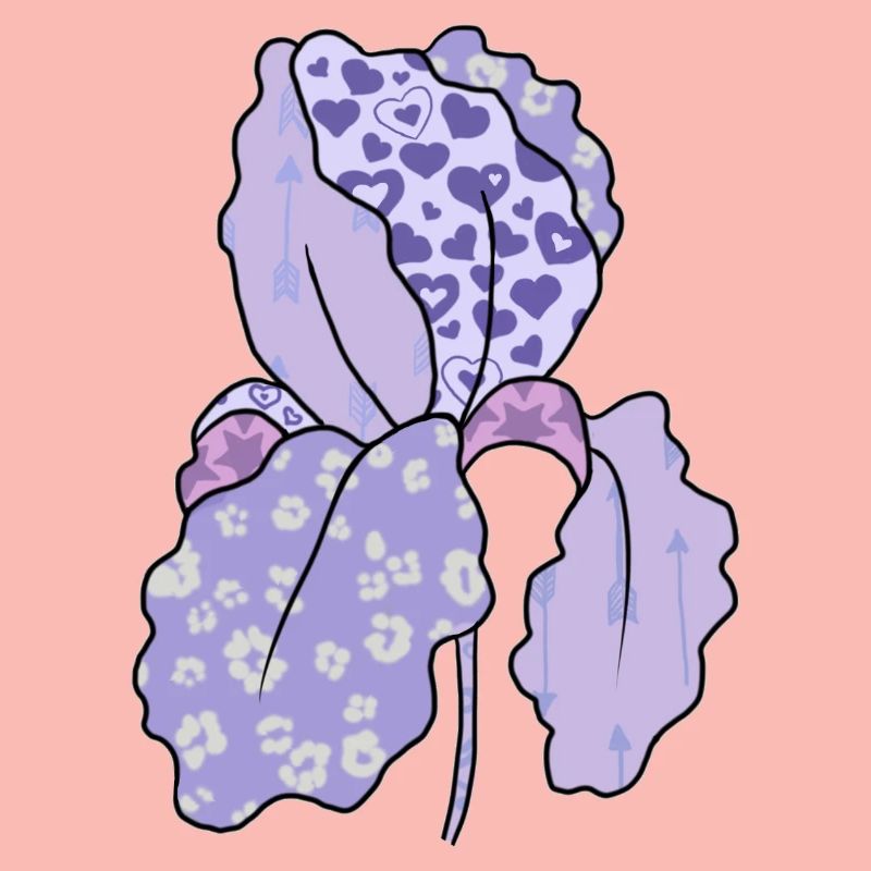 Bunte_Iris