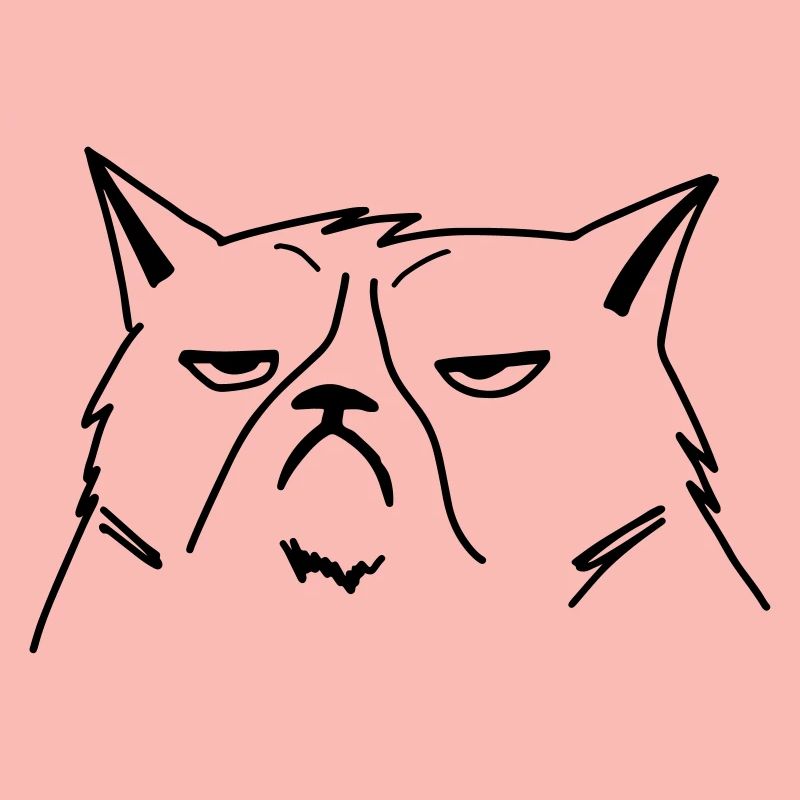 chat grincheux