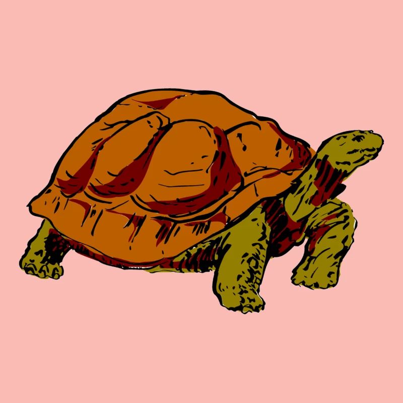 Schildkröte