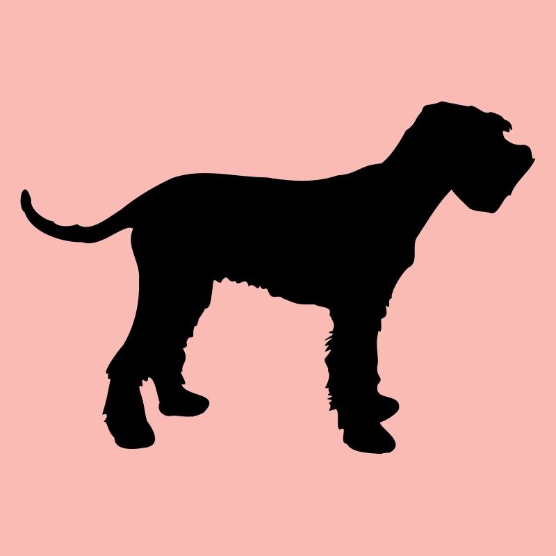 schnauzer géant
