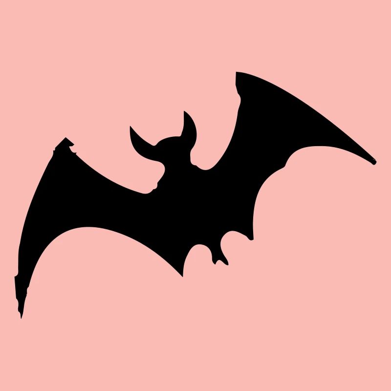Fledermaus