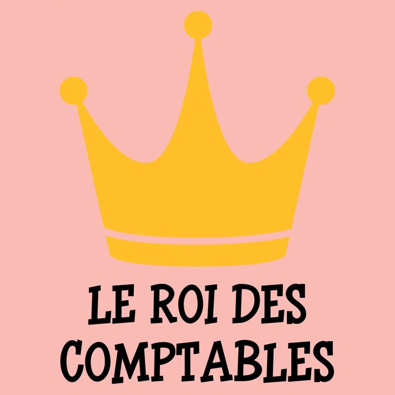 comptable / comptabilité / argent / Finance / Euro