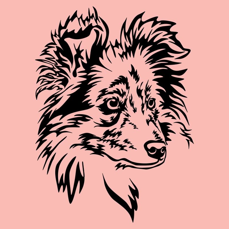 Sheltie Kopf