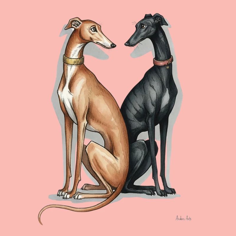 Zwei Galgos 