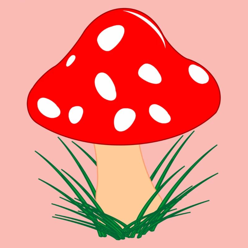 Champignon rouge avec des points blancs Automne
