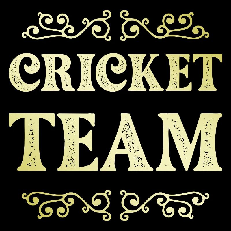 Équipe de cricket