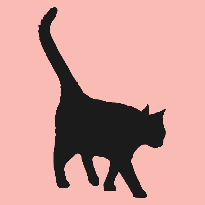 black cat