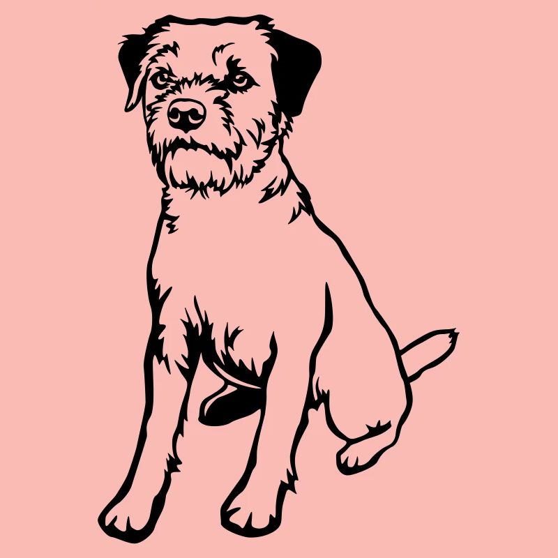 Border Terrier