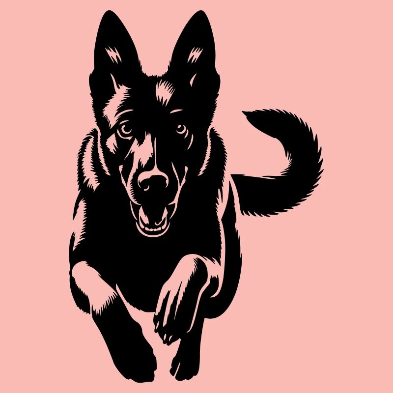 Malinois