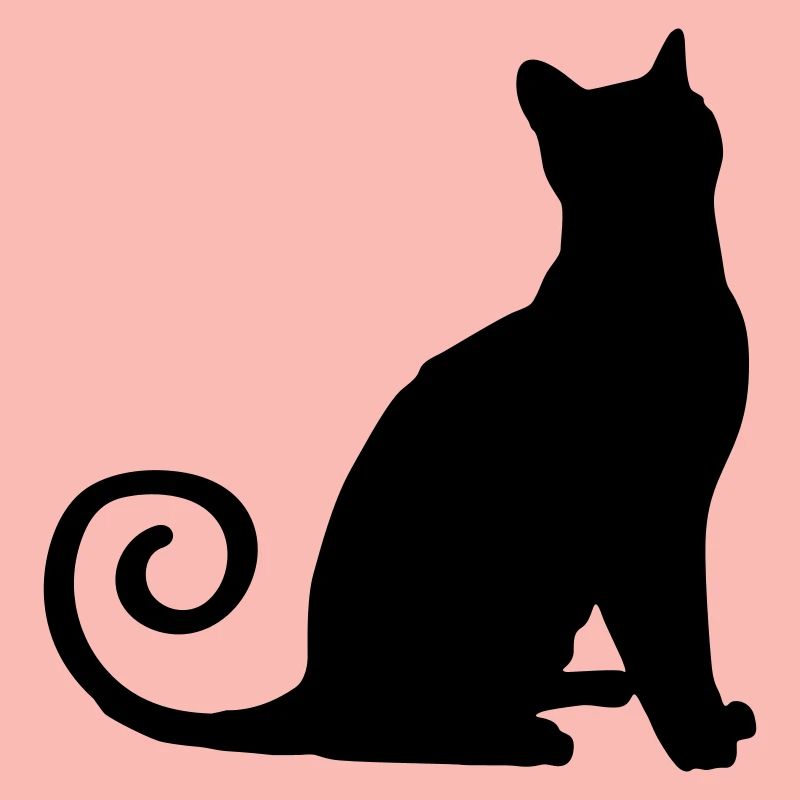 Silhouette de chat