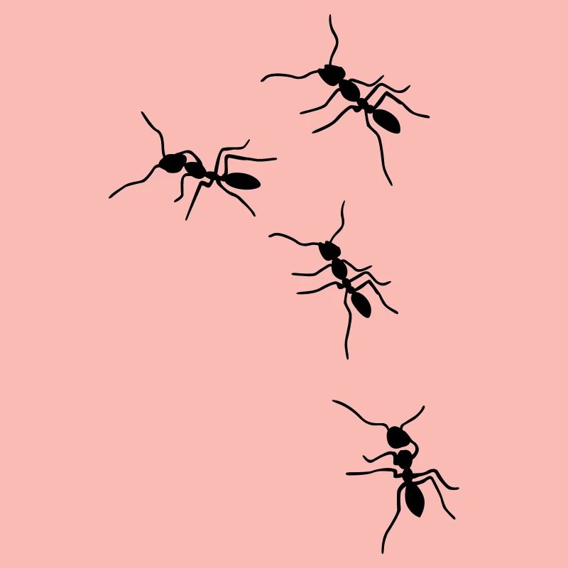 ants