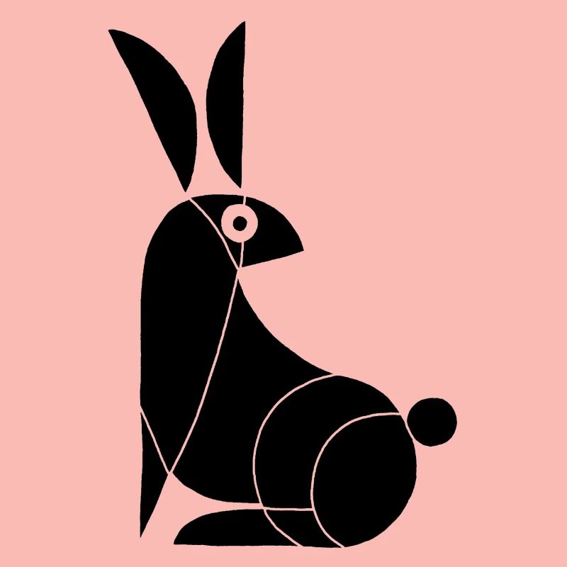 Funny Black Rabbit