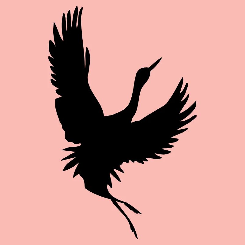 Crane shadow figure