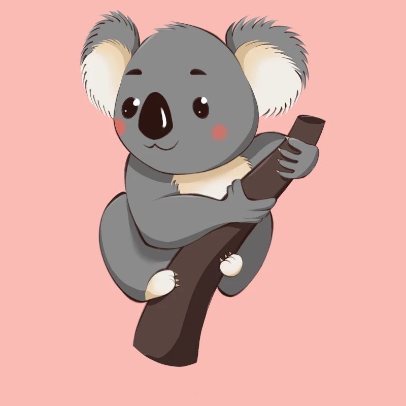 Koala