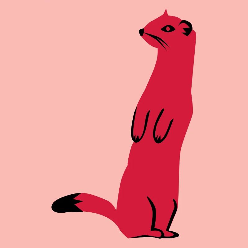 Weasel - Ermine