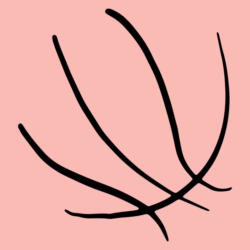 Basketbäll 05 Zeichenfläche 5