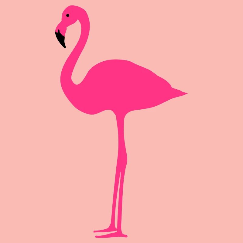 Flamingo 2 colors